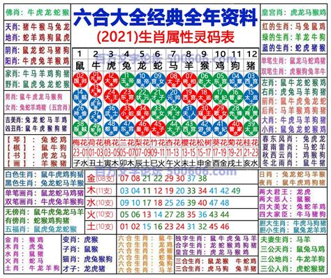 24年生肖|2024年生肖表完整版图 2024年生肖表完整版图片